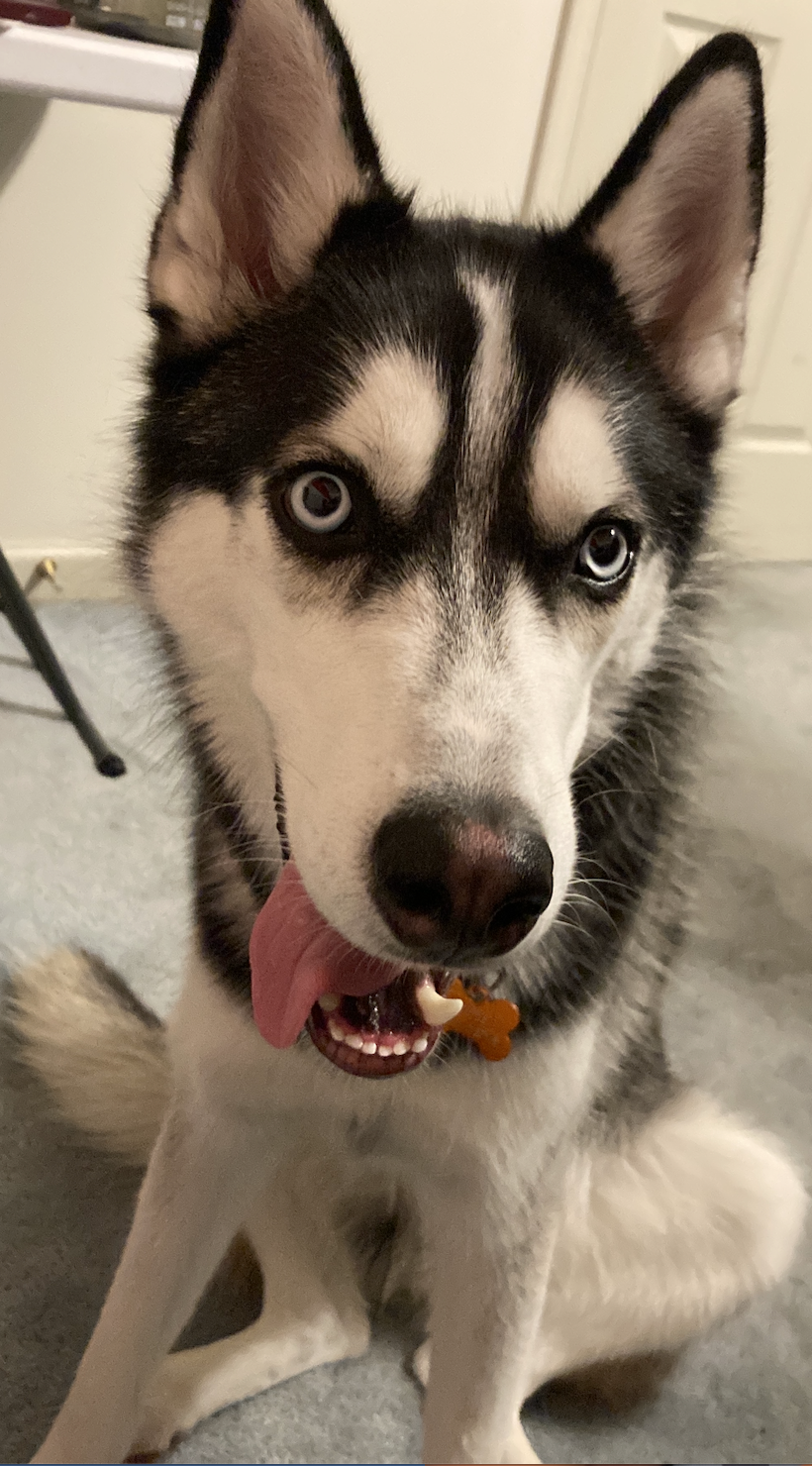 Prince, the Patmos Post Dispatch public relations representative